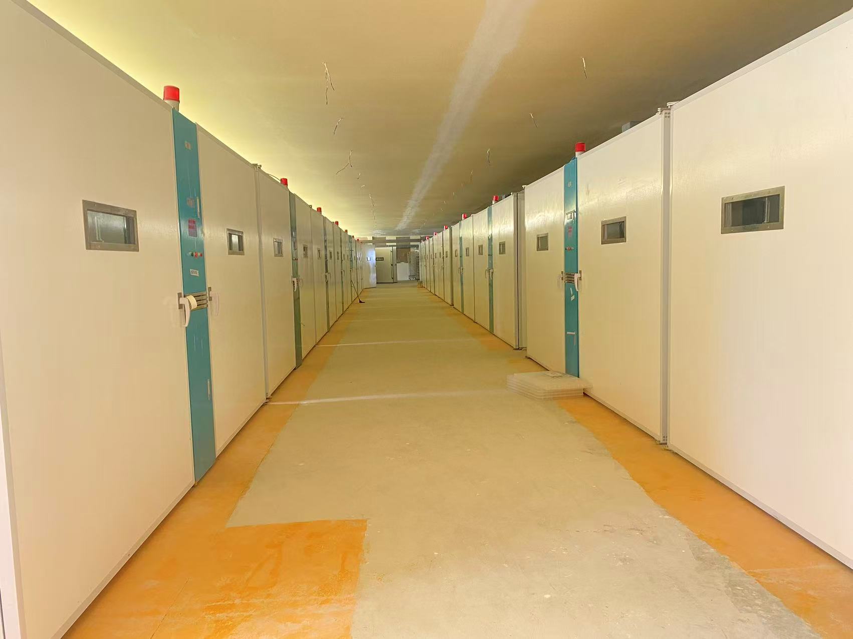 أحدث مدونات الشركة حول المزارع الكينية تعطي الأولوية للتوريد المستمر والدعم المحلي مع 20 حاضنة واحدة