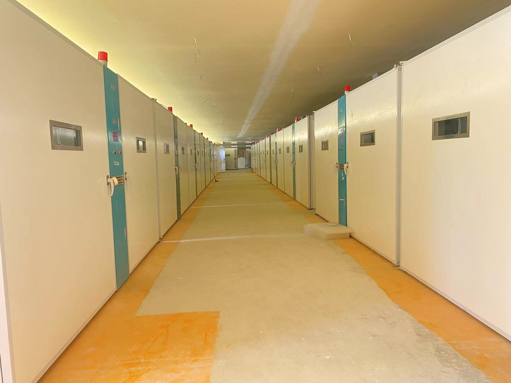 أحدث مدونات الشركة حول حلول الدواجن المتينة: لماذا تتحول مفرخات الدجاج الأفريقية إلى الفولاذ المقاوم للصدأ والألياف الزجاجية ELT-57600S