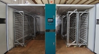 Hot Galvanized Trolley 57600 Eggs Incubator Panel Thickness 75mm