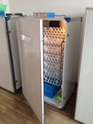 شراء فقاسة بيض سهلة الفقس أوتوماتيكية بالكامل لبيض الدجاج سعة 300 بيضة online manufacture