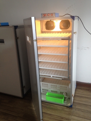 شراء 300 حاضنة بيض دواجن سلحفاة صغيرة لبيض الدجاج حاضنة تحول ذاتية online manufacture