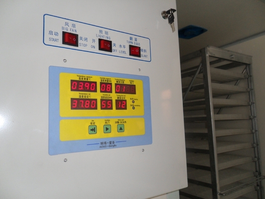 Commercial Industrial Chicken Incubator Machine 7168 Goose Eggs 5.5kw