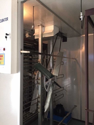 6000 Digital Egg Incubator Poultry Chicken Hatchery Equipment Machine