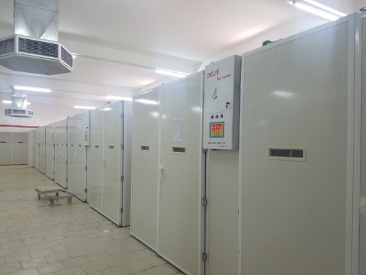 شراء فقاسة 20000 حاضنة تفقيس بيض الدجاج online manufacture