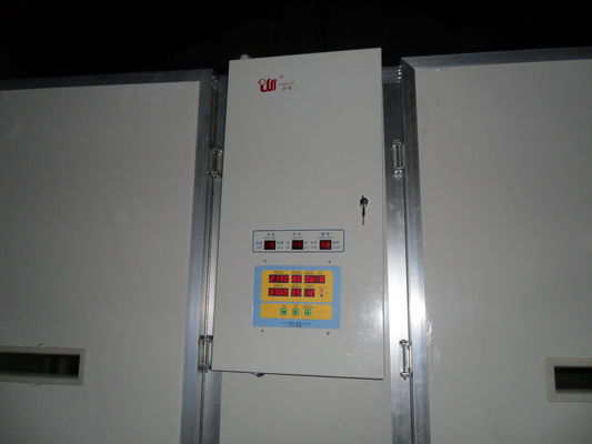 شراء حاضنة مرحلة واحدة لبيض الطيور سعة 10000 حاضنة بيض online manufacture