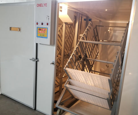 شراء حاضنة بيض تجارية سعة كبيرة 10000 بيضة دراج ببغاء تفقيس بيض online manufacture