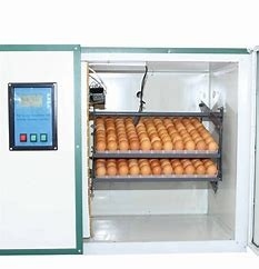 شراء حاضنة بيض الدجاج الأوتوماتيكية بزاوية 360 درجة online manufacture