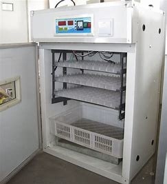 شراء حاضنة بيض دواجن جامبو 200 قطعة أقسام مقذوفة online manufacture